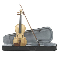 Violin with Hard Case Wooden Violin with Case Black Student for Beginners, Practice, Lessons