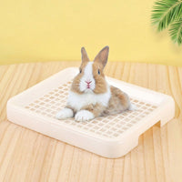 Dry Feet Guinea Pig Litter Tray, Litter Pan with Grate for Bunny and Chinchilla, Washable Flat Toilet Pan, 25 x 19.5 x 3 cm Size