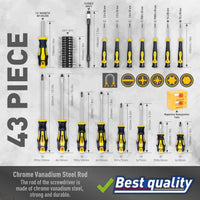 43-Piece Screwdriver Tool Set with Blow Molded Case