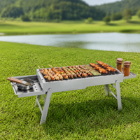 Foldable Charcoal Grill, Portable Charcoal Grill for 3-7 People, Camping & Picnic, Painted Iron, Silver 2.8kg