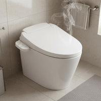 Instant Heating Heated Bidet Toilet Seat Female Wash Smart Toilet Seat Universal Fit Bathroom Fixture Adjustable Water Pressure
