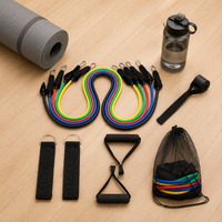 resistance band set