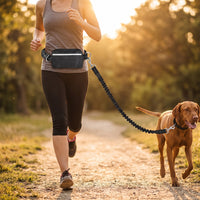 Running Belt with Leash Reflective Handsfree Leash with Pouch Adjustable for Jogging