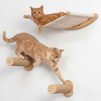 Wall Mounted Cat Furniture Set with Wooden Shelves and Climbing Ladder, Large Cat Bed Hammock for Indoor Cats, Elevated Vertical Play Space