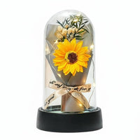 Treated Floral Dome Romantic Gift Timeless Bloom Acrylic Dome Long Perennial Blossom Light for Girlfriend, Mom