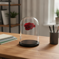 Blue Morpho Butterfly Specimen in Glass Dome Display with Black Base