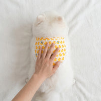 Cute Duck Print Dog Bandana Neck Wrap and Neckerchief, Tie On Cloth Material Fashion, Small Medium Large Golden Retriever Samoyed Husky Dog Scarf