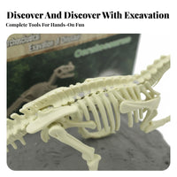 Dinosaur Excavate Kit DIY Dinosaur Excavate Kit Educational Dino Excavation Set for Children, Students, Classroom, Birthday Party, children's Room