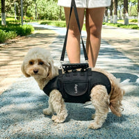 Pet Carrier Backpack for Small Dogs, Nylon Portable Pet Bag with Breathable Mesh, Front Cat Carrier with Shoulder Strap for Travel Hiking Use