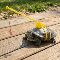 Tortoise Harness and Leash Support Bracket Turtle Leash Dangling Tether Turtle Harness for Exercise
