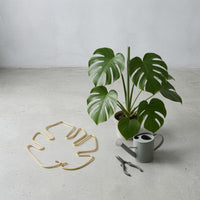 Plant Stem Gathering Hoop Thickened Wire Metal Plant Support Frame Versatile Use Gardening Supplies for Houseplant Owners, Gardeners, Indoor, Balcony