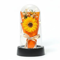 Treated Floral Dome Romantic Gift Timeless Bloom Acrylic Dome Long Perennial Blossom Light for Girlfriend, Mom