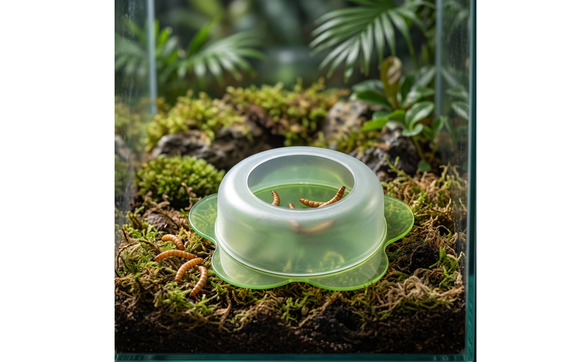 Semi-Transparent Reptile Feeding Bowl Translucent Feeding Dish Low-Profile Reptile Bowl Anti-Escape