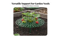 Strawberry Support Rack Keeps Berries Clean Strawberry Growing Frame Prevents Fruit Growing Frame for Gardeners, Farmers, Garden, Greenhouse, Farm