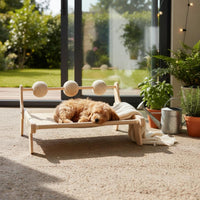 scratches Perch Chew Resistant scratches Bed Builtincluded Activity Balls Dog Lounger Bed for Indoor