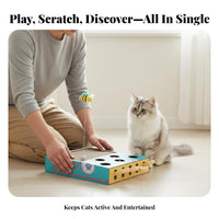 Whack-a-Rodent Cat Toy Promotes Healthy Claws Cardboard Cat Scratcher Box Scratching Board Satisfies Natural Instincts Solo-Play