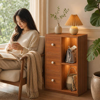 Storage Cabinet with Drawers Compact Wooden Cabinet with Shelves Space-Saving Furniture for Bedroom, Living Room, Small Apartment