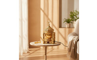 Electric Incense Burner Ornate Incense Burner with Lid Warmer Metal Filigree for Prayer Room, Home