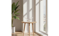 Butterfly Magazine Rack Minimalist Magazine Rack with Oval Base areaSaving Literature Display Stand for Reception Area