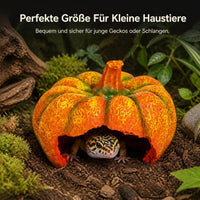 Reptile Hideout House Decoration for Corn Snakes Geckos Lizards, Resin Pumpkin/Tree Stump Design