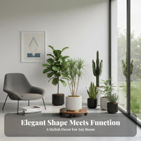 Rolling Plant platform With casters Rolling Plant stand substantial Duty for Indoors, Home