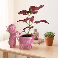 Highland Cow Planter Adorable Highland Cow Flower Pot Planter with Cart Cute Flowerpot Animal-Shaped for Gardeners, Windowsill