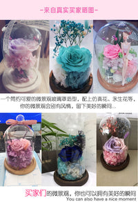 DIY European Style Transparent Glass Landscape Cover for Micro-Landscape Decoration