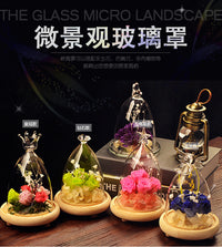 DIY European Style Transparent Glass Landscape Cover for Micro-Landscape Decoration
