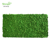 Artificial Moss Plant Wall Decor for Commercial and Residential Spaces