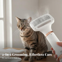 2-in-1 Pet Hair Dryer Brush Quick Dry 2-in-1 Pet Dryer Brush Low Noise