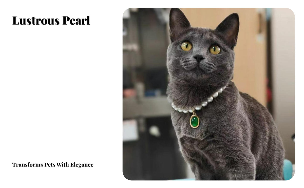 Gem Pendant Sophisticated Feline Design Cat Pearl Cute Design Pearl Pet Necklace for Groomers, Special Occasions, Weddings, Photo Shoots