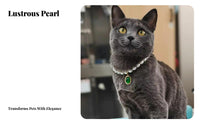 Gem Pendant Sophisticated Feline Design Cat Pearl Cute Design Pearl Pet Necklace for Groomers, Special Occasions, Weddings, Photo Shoots