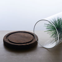 Glass Display Dome with Wooden Base for Dried Flowers and Micro Landscapes