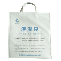 Insulated Cooler Bag PVC Handheld Ice Pack for Medical Products Transport and Food Preservation