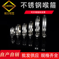 304 Stainless Steel American Style Hose Clamp for Security Monitoring and Gas Pipes
