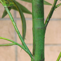 Artificial Bamboo Room Divider for Office & Commercial Decor