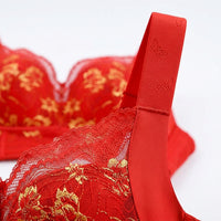 Support Bra with Full Coverage Lace Design for Plus Size Women, Underwire and Multi-Hook Closure for Everyday Comfort and Fit, Minimizing Silhouette