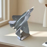 Fighter Jet Model Alloy Model with Stand Detachable Toy for Collectors History Buffs