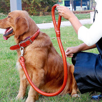 PU Leather Dog Collar and Leash Set for Large Dogs