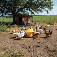 Weight-Activated Chicken Feeder Rainproof Automatic Fowl Feeding Bucket Anti-Roost Cone Round Fowl Feed Trough for HomesteadersRange, Backyard