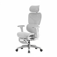 Ergonomic Mesh Chair with Headrest Reclining Spinerest Rotate Seat Sturdy Duty Safety Certified for Remote Workers