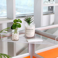 Iron Art Desk Corner Shelf with Hooks - Office Storage Organizer & Balcony Plant Stand
