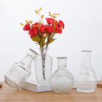 Nordic Ins Style Glass Vase for Hydroponic or Floral Arrangements, Retro Creative Home Decor