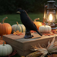 Holiday Prop Artificial Dove Figurine Feathered Surface Fake Dove Figurine Garden Decoration Black Bird Ornament Lifelike for Halloween, Christmas