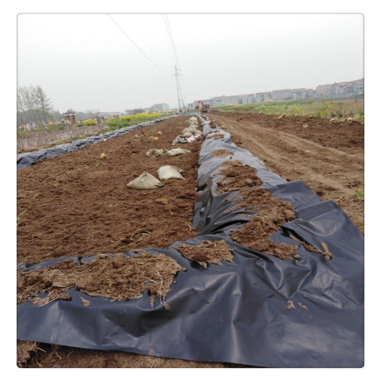 Heavy-Duty Impermeable Geomembrane Liner for Ponds, Gardens, and Roofing