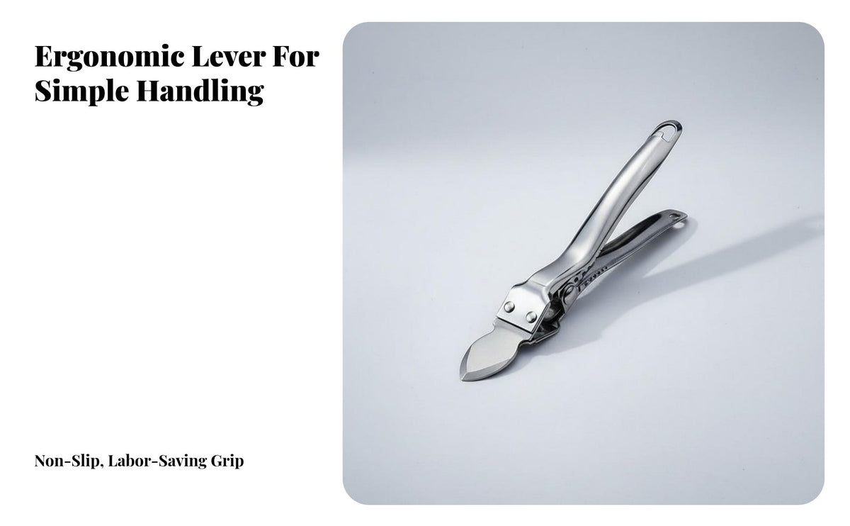 Bivalve Shucker Silver Clam Plier Pliers Opener for Kitchen