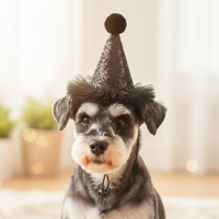 Pet Party Birthday Hat Cute Decorative Cat Dog Birthday Hat with Numbers