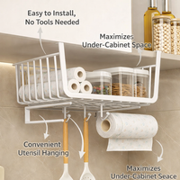 Cabinet Metal Pantry Paper Towel Holder, Sleek Dispensing Roll for Kitchen, Double Mount Aluminum for Homeowners, Keeps Countertops Clutter-Free