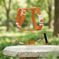 Kitten Harness and Cat Leash Set, Polyester Travel Harness with Buckle, 150cm Kitten Leash for Outdoor Cat Pet Walking