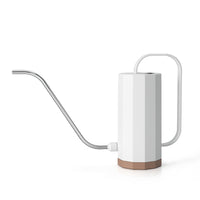 Long Spout Plastic Watering Can for Succulents & Potted Plants